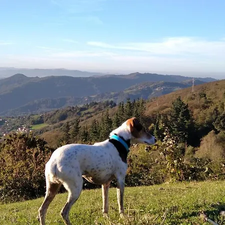 La Casina De Asturias Vakantiehuis *