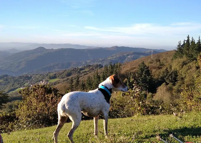 La Casina De Asturias Casa de Férias *