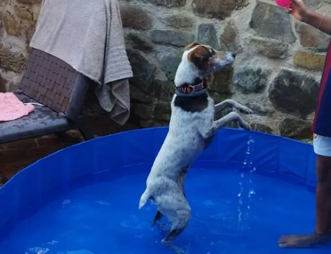 La Casina De Asturias * Mieres (Asturias)